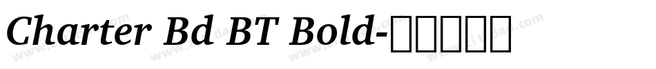 Charter Bd BT Bold字体转换